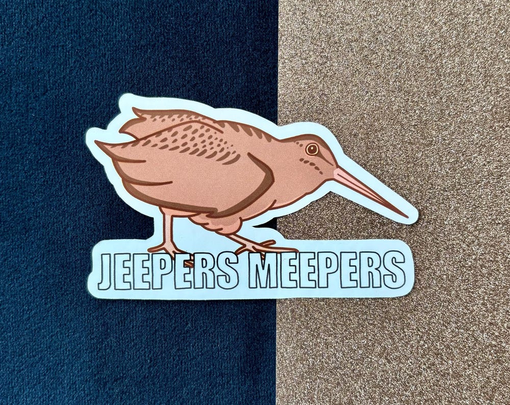 American Woodcock Bird Vinyl Sticker